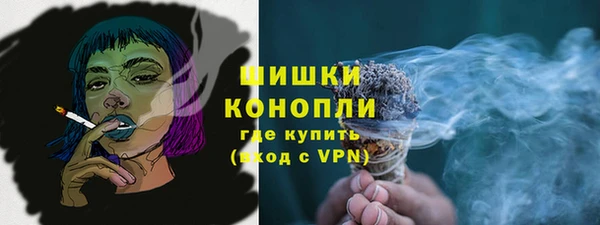 ГАЛЛЮЦИНОГЕННЫЕ ГРИБЫ Арсеньев