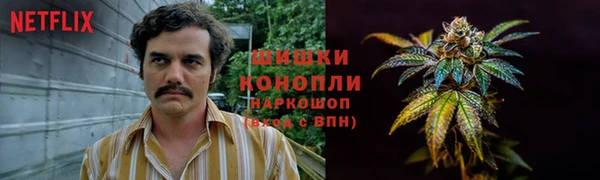 сатива Армянск