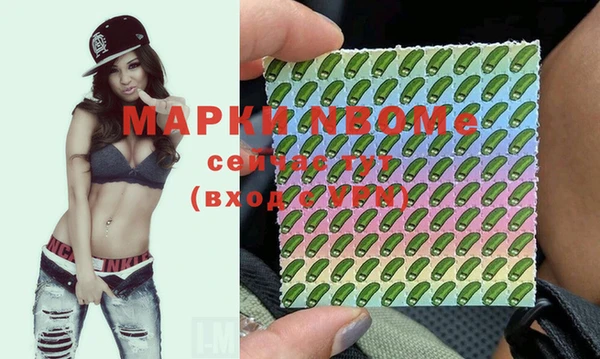 сатива Армянск