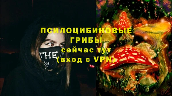 ГАЛЛЮЦИНОГЕННЫЕ ГРИБЫ Арсеньев