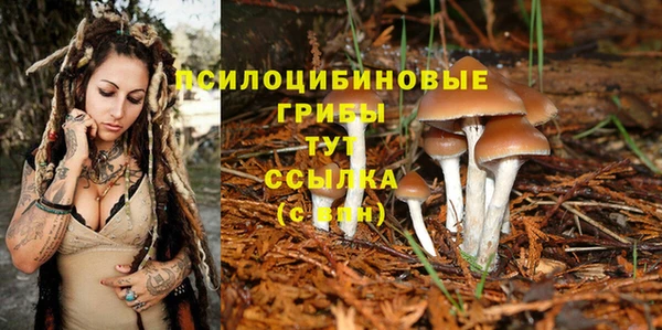 сатива Армянск
