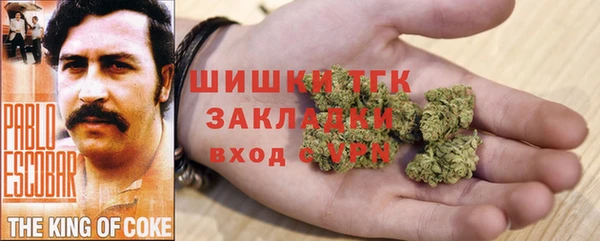 ГАЛЛЮЦИНОГЕННЫЕ ГРИБЫ Арсеньев